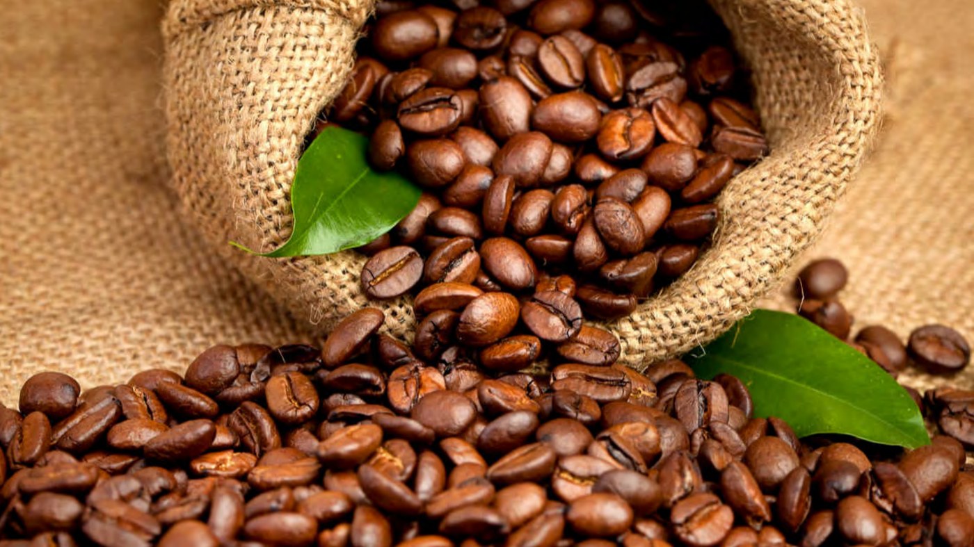 IFCCAO — Interprofession de la filière Café Cacao